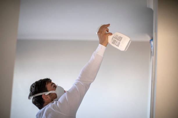 Best Professional Mold Removal  in Benton Park, CA