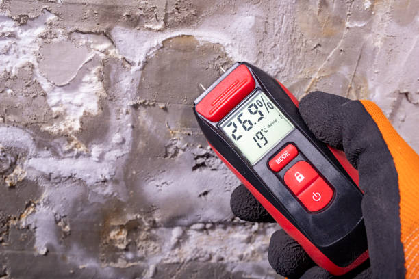 Best Certified Mold Removal  in Benton Park, CA