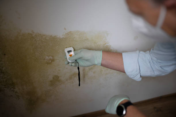 Best Water Damage Restoration  in Benton Park, CA