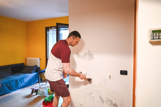 Best Mold Damage Repair  in Benton Park, CA